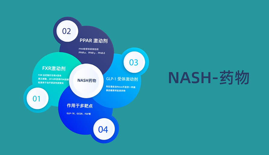 针对NASH非酒精性脂肪肝病有哪些分歧的新药类型(HD).jpg
