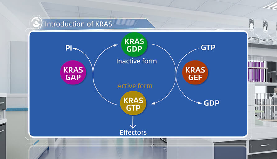 什么是KRAS？