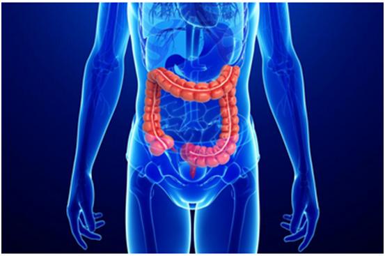 J9集团一站式助力 | 宝太生物首个中美双报创新药获批