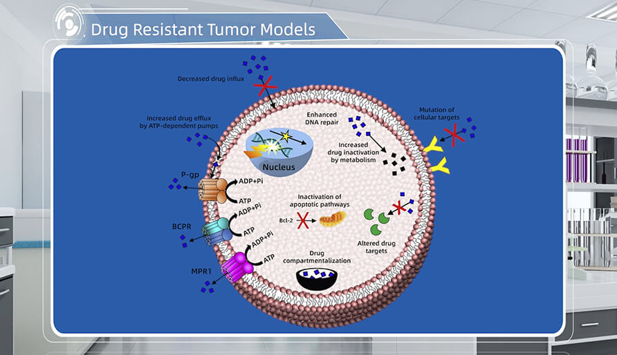 肿瘤耐药机造是什么？