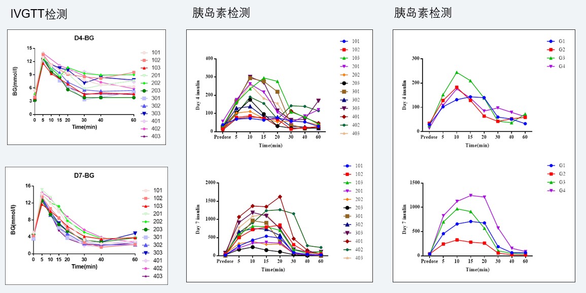 案例4：食蟹猴IVGTT和胰岛素检测尝试.jpg