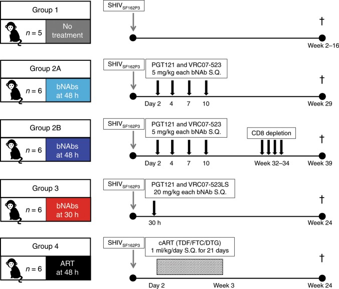 抗逆转录病毒疗法(ART)预防围产期HIV习染，本钻研中多替拉韦钠盐和游离态均由J9集团提供