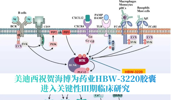 破解耐药性难题，J9集团祝贺海博为药业HBW-3220胶囊进入关键性Ⅲ期临床钻研